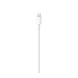 USB-C to Lightning Cable (3.3ft)