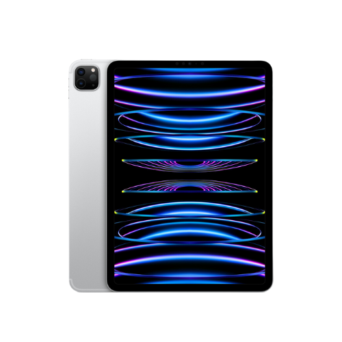 iPad Pro 2022 (11") Silver 2TB (WiFi + Cellular)